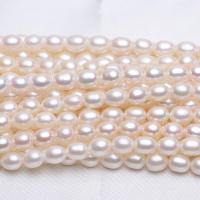 Rice Kulturan Slatkovodni Pearl perle, Riža, prirodan, bijel, 7-8mm, Rupa:Približno 0.8mm, Prodano Per Približno 15 inčni Strand