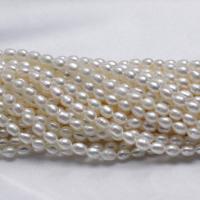 Rice ferskvandskulturperle Beads, Ferskvandsperle, Ris, naturlig, flere farver til valg, 4-5mm, Hole:Ca. 0.8mm, Solgt Per Ca. 15 inch Strand