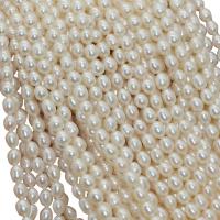 Rice ferskvandskulturperle Beads, Ferskvandsperle, Ris, naturlig, hvid, 5-6mm, Hole:Ca. 0.8mm, Solgt Per Ca. 15-15.5 inch Strand