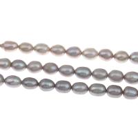 Rýže kultivované sladkovodní perle, Sladkovodní Pearl, šedá, 7-8mm, Otvor:Cca 0.8mm, Prodáno za Cca 15 inch Strand