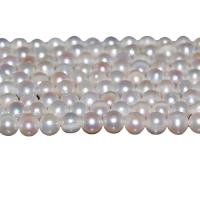 Grânulos pérolas cultivads de água doce, Pérolas de água doce, Batata, naturais, branco, 6-7mm, Buraco:Aprox 0.8mm, vendido para Aprox 15.5 inchaltura Strand