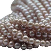 Kartoffel ferskvandskulturperle Beads, Ferskvandsperle, naturlig, lilla, 6-7mm, Hole:Ca. 0.8mm, Solgt Per Ca. 15.5 inch Strand