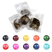 Akoya cultiva mar perla perlas de ostras, Perlas Cultivadas de Akoya, Esférico, más colores para la opción, 11-13mm, 5PCs/Grupo, Vendido por Grupo