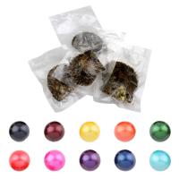 Koraliki Perłowe Pearl Pearl Akoya, Perła Akoya hodowlana, Koło, dostępnych więcej kolorów, 11-13mm, sprzedane przez PC
