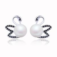 Prás Graí Earring, le Pearl, Eala, dath airgid plated, rhinestone réiteodh micrea & do bhean, dubh, nicil, luaidhe & caidmiam saor in aisce, 14*14mm, Díolta De réir Péire