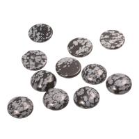 Snowflake Obsidian Cabochon, forskellig størrelse for valg & flad bagside, 20pc'er/Bag, Solgt af Bag