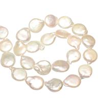 Keishi odlad sötvattenspärla pärlor, Freshwater Pearl, Flat Round, naturlig, vit, 13-14mm, Hål:Ca 0.8mm, Ca 24PC/Strand, Säljs av Strand