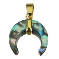 Μενταγιόν Brass Κοσμήματα, Ορείχαλκος, με Abalone Shell, Σελήνη, χρώμα επίχρυσο, νικέλιο, μόλυβδο και κάδμιο ελεύθεροι, 20x22x8mm, Τρύπα:Περίπου 4x7mm, Sold Με PC