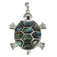 Messing hangers, met Abalone Schelp, Zeeschildpad, silver plated, nikkel, lood en cadmium vrij, 37x46x6mm, Gat:Ca 5x7mm, Verkocht door PC