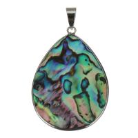 Messing hangers, met Abalone Schelp, Traan, silver plated, nikkel, lood en cadmium vrij, 31.50x45x4mm, Gat:Ca 4x7mm, Verkocht door PC