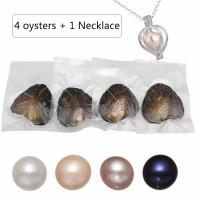 Oyster & Wish Pearl Kit, Perła naturalna słodkowodna, Ziemniak, mieszane kolory, 7-8mm, 4komputery/torba, sprzedane przez torba