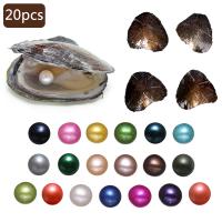 Makeanveden viljelty Love Wish Pearl Oyster, Makeanveden helmen, sekoitettu, Satunnainen väri, 7-8mm, 20PC/erä, Myymät erä