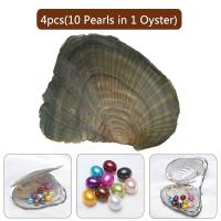 Oyster & Wish Pearl Kit, Perlas cultivadas de agua dulce, Arroz, color mixto, 7-8mm, 5PCs/Grupo, Vendido por Grupo