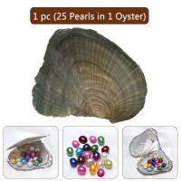 Zoetwater Cultured Love Wish Pearl Oyster, Zoetwater Parel, Rijst, gemengde kleuren, 7-8mm, Verkocht door PC