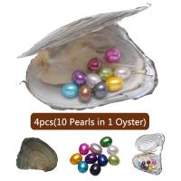 Zoetwater Cultured Love Wish Pearl Oyster, Zoetwater Parel, Rijst, gemengde kleuren, 7-8mm, 4pC's/Lot, Verkocht door Lot