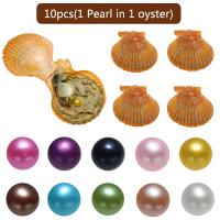 Akoya saothraithe Farraige Pearl Oyster Beads, Akoya saothraithe Pearls, Prátaí, dathanna measctha, 7-8mm, 10ríomhairí pearsanta/Mála, Díolta De réir Mála