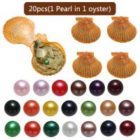 Akoya Cultured Sea Pearl Oyster Perler, Akoya kulturperler, Kartoffel, blandede farver, 7-8mm, 20pc'er/Bag, Solgt af Bag