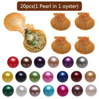 Akoya Cultured Sea Pearl Oyster helmiä, Akoya Viljellyt helmet, Peruna, sekavärit, 7-8mm, 20PC/laukku, Myymät laukku