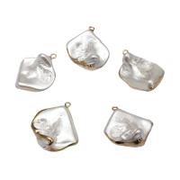 Shell Halsband, med Mässing, plated, fler färger för val, 21x17x8mm-33x27x12mm, Hål:Ca 2mm, 10PC/Bag, Säljs av Bag