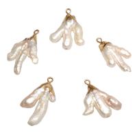 Sötvatten Pearl Mässing Hänge, Freshwater Pearl, med Mässing, guldfärg pläterade, vit, 28x25x7mm-46x16x7mm, Hål:Ca 1.8mm, 5PC/Bag, Säljs av Bag