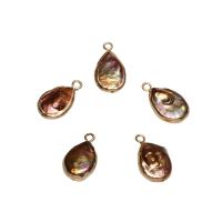 Freshwater Pearl Brass Pendant with Brass Teardrop gold color plated - Approx 1.8mm Sold By Bag