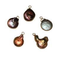 Eau douce-Perle-Brass-Pendentif, perle d'eau douce cultivée, avec laiton, Placage de couleur d'or, 16*22*5mm-12*15*4mm, Trou:Environ 1.8mm, 10PC/sac, Vendu par sac