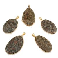 Aqua Terra Jasper Hanger, met Messing, gold plated, 53x30x6mm-42x28x6, Gat:Ca 4x6mm, Verkocht door PC