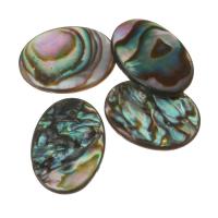 Abalone -Shell-Beads, conchiglia Abalone, gioielli di moda & DIY, 13x18x2mm, Foro:Appross. 0.5mm, 10PC/lotto, Venduto da lotto