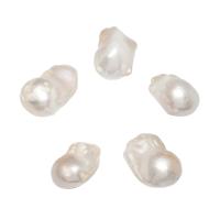 Inga Hål odlad sötvattenspärla pärlor, Freshwater Pearl, naturlig, inget hål, vit, 13-15mm, Säljs av PC