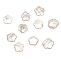 Perlas Freshwater sin Agujero, Perlas cultivadas de agua dulce, Flor del ciruelo, natural, Blanco, 10-12mm, 10PCs/Bolsa, Vendido por Bolsa