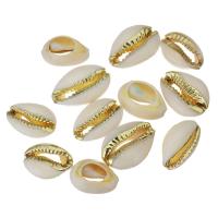 coquille accessoire, avec laiton, naturel, bijoux de mode & DIY & mélangé, 13-17x18-24x7-8mm, 5PC/lot, Vendu par lot