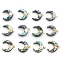 Naturlig Abalone Shell Pendler, med Jern, Moon, forgyldning, 20x21mm, Hole:Ca. 1mm, 2pc'er/Lot, Solgt af Lot