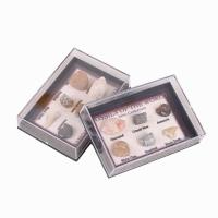 Gemme synthétique Spécimen de fossiles, naturel, 6 pièces, couleurs mélangées, 5-10mm, Vendu par boîte