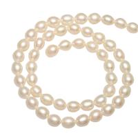 Krumpir Kulturan Slatkovodni Pearl perle, prirodan, više boja za izbor, 5-6mm, Rupa:Približno 0.8mm, Prodano Per Približno 14.1 inčni Strand