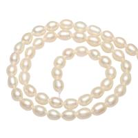 Krumpir Kulturan Slatkovodni Pearl perle, prirodan, više boja za izbor, 5-6mm, Rupa:Približno 0.8mm, Prodano Per Približno 14.1 inčni Strand