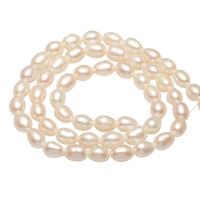 Rýže kultivované sladkovodní perle, Sladkovodní Pearl, přírodní, více barev na výběr, 4-5mm, Otvor:Cca 0.8mm, Prodáno za Cca 14.1 inch Strand