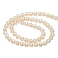 Okrugli Kulturan Slatkovodni Pearl perle, prirodan, više boja za izbor, 4-5mm, Rupa:Približno 0.8mm, Prodano Per Približno 14.1 inčni Strand