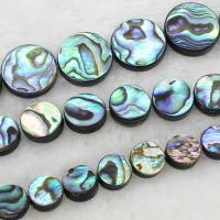 Abalone -Shell-Beads, conchiglia Abalone, Cerchio piatto, formato differente per scelta, Foro:Appross. 1mm, Venduto da filo