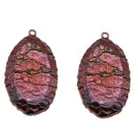 Fossile marin Pendentif, avec laiton, Plaqué de couleur de cuivre antique, 58x31x9mm, Trou:Environ 2mm, Vendu par PC