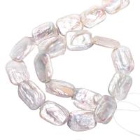 Barokní kultivované sladkovodní perle, Sladkovodní Pearl, přírodní, bílý, 14-17mm, Otvor:Cca 0.8mm, Prodáno za Cca 15 inch Strand