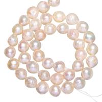 Krumpir Kulturan Slatkovodni Pearl perle, prirodan, bijel, 8-10mm, Rupa:Približno 0.8mm, Prodano Per Približno 15 inčni Strand