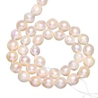 Brambor pěstované sladkovodní perle, Sladkovodní Pearl, přírodní, bílý, 8-9mm, Otvor:Cca 0.8mm, Prodáno za Cca 15 inch Strand