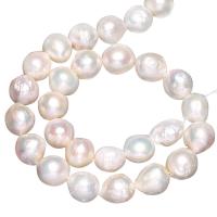 Krumpir Kulturan Slatkovodni Pearl perle, prirodan, bijel, 13-15mm, Rupa:Približno 0.8mm, Prodano Per Približno 15 inčni Strand