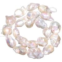 Barokní kultivované sladkovodní perle, Sladkovodní Pearl, Baroko, přírodní, bílý, 14-20mm, Otvor:Cca 0.8mm, Prodáno za Cca 15 inch Strand