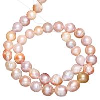 Krumpir Kulturan Slatkovodni Pearl perle, prirodan, miješana boja, 8-10mm, Rupa:Približno 0.8mm, Prodano Per Približno 15 inčni Strand