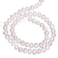 Perlas Redondas Freshwater, Perlas cultivadas de agua dulce, Esférico, natural, Blanco, 5-6mm, agujero:aproximado 0.8mm, Vendido para aproximado 15 Inch Sarta