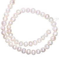 Krumpir Kulturan Slatkovodni Pearl perle, prirodan, više boja za izbor, 8-9mm, Rupa:Približno 0.8mm, Prodano Per Približno 15 inčni Strand