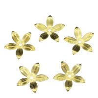 Iron Bead Caps Flower gold color plated nickel lead & cadmium free Approx 1.2mm Sold By Bag