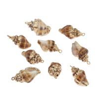 Shell Hangers, Schelp, met Messing, Schelp, gold plated, 27x13x13mm, Gat:Ca 2mm, Ca 10pC's/Bag, Verkocht door Bag