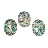 Natural Abalone Shell Riipukset, kanssa Musta kuori, Flat Oval, 40x30x5mm, Reikä:N. 1mm, N. 5PC/laukku, Myymät laukku